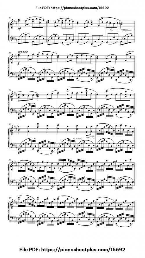 Canon in D Major by Johann Pachelbel Level Beginner 5 Canon in D Major piano sheet music free pdf