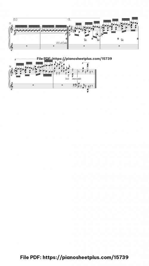 Flight of the Bumblebee by Nikolai Rimsky-Korsakov/György Cziffra Level Mastery 12 Flight of the Bumblebee piano sheet music free pdf