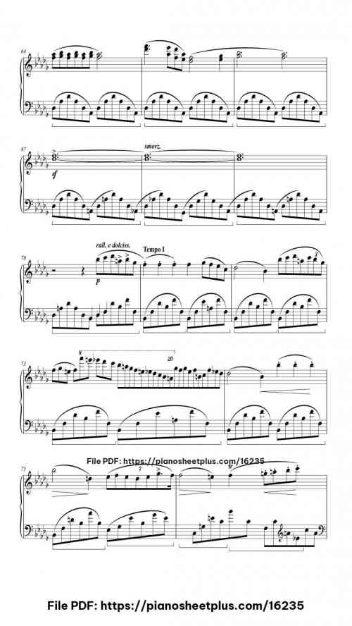 Nocturne in B-flat Minor, Op. 9, No. 1 by Frédéric François Chopin Level Mid-Advanced 13 Nocturne in B-flat Minor, Op. 9, No. 1 piano sheet music free pdf