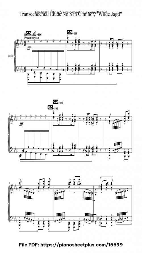 Transcendental Étude No. 8 in C Minor, S. 139: "Wilde Jagd" by Franz Liszt Level Mastery 47 Transcendental Étude No. 8 in C Minor, S. 139: “Wilde Jagd” by Franz Liszt Level Mastery