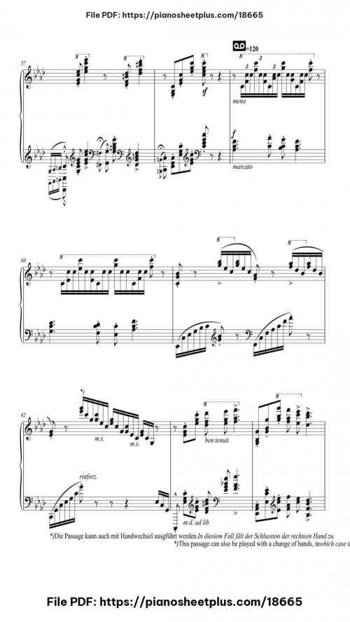 Hungarian Rhapsody No. 14 in A Minor, S. 244/14 by Franz Liszt Level Professional 27 Hungarian Rhapsody No. 14 in A Minor, S. 244/14 piano sheet music free pdf
