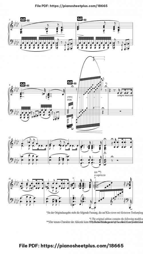 Hungarian Rhapsody No. 14 in A Minor, S. 244/14 by Franz Liszt Level Professional 24 Hungarian Rhapsody No. 14 in A Minor, S. 244/14 piano sheet music free pdf