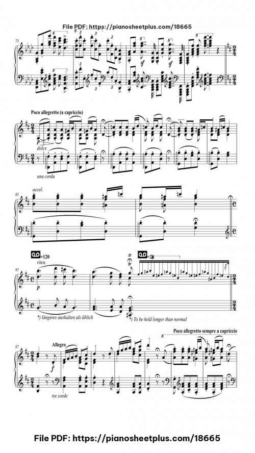 Hungarian Rhapsody No. 14 in A Minor, S. 244/14 by Franz Liszt Level Professional 29 Hungarian Rhapsody No. 14 in A Minor, S. 244/14 piano sheet music free pdf