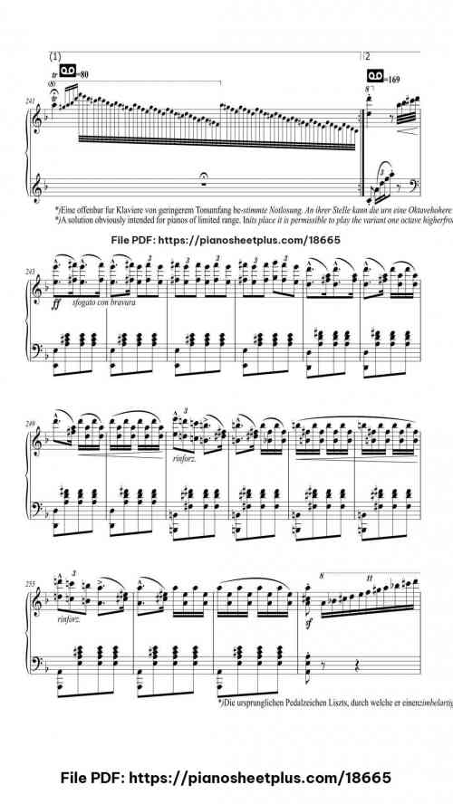 Hungarian Rhapsody No. 14 in A Minor, S. 244/14 by Franz Liszt Level Professional 38 Hungarian Rhapsody No. 14 in A Minor, S. 244/14 piano sheet music free pdf