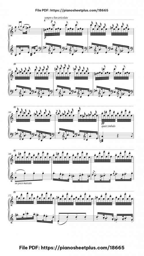 Hungarian Rhapsody No. 14 in A Minor, S. 244/14 by Franz Liszt Level Professional 33 Hungarian Rhapsody No. 14 in A Minor, S. 244/14 piano sheet music free pdf