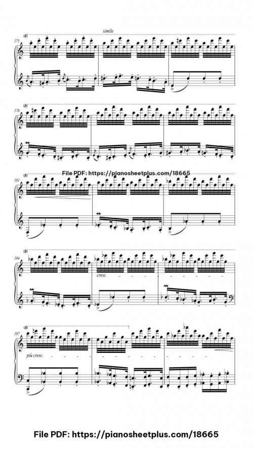 Hungarian Rhapsody No. 14 in A Minor, S. 244/14 by Franz Liszt Level Professional 34 Hungarian Rhapsody No. 14 in A Minor, S. 244/14 piano sheet music free pdf