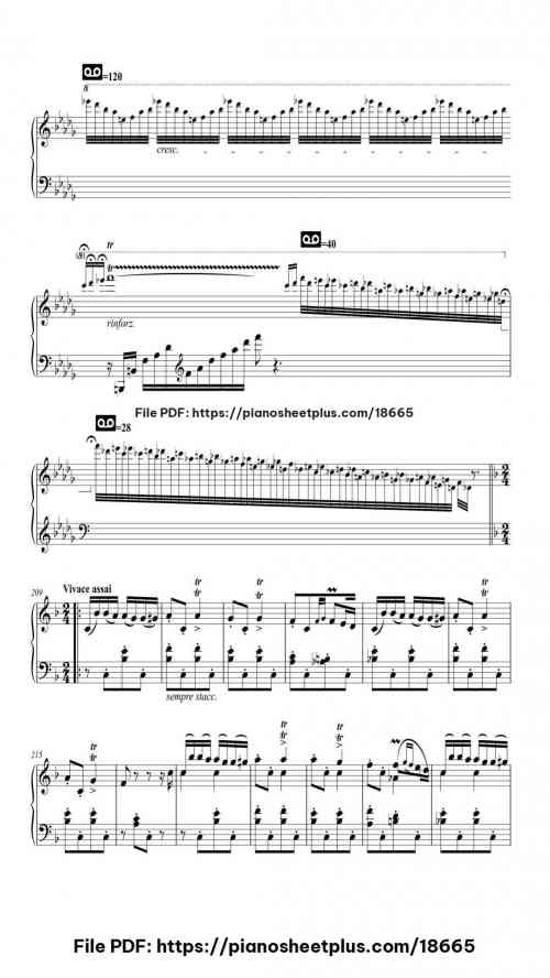 Hungarian Rhapsody No. 14 in A Minor, S. 244/14 by Franz Liszt Level Professional 36 Hungarian Rhapsody No. 14 in A Minor, S. 244/14 piano sheet music free pdf