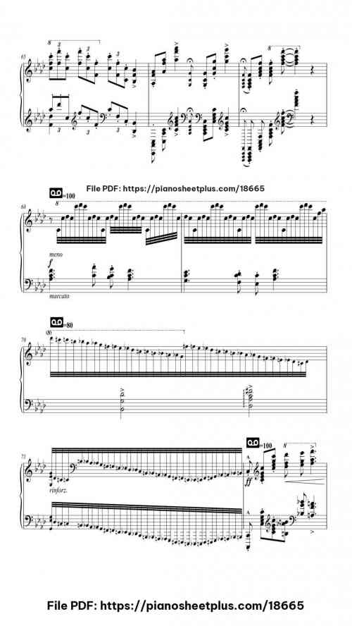 Hungarian Rhapsody No. 14 in A Minor, S. 244/14 by Franz Liszt Level Professional 28 Hungarian Rhapsody No. 14 in A Minor, S. 244/14 piano sheet music free pdf