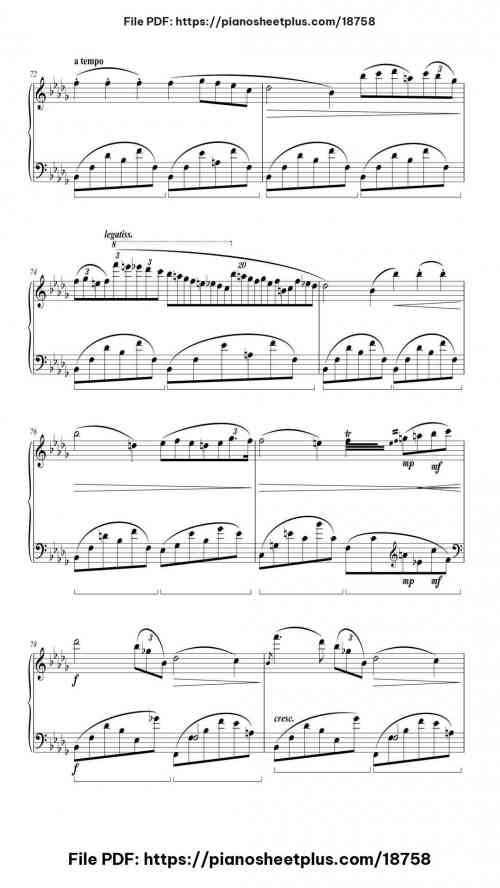 Nocturne in B♭ Minor, Op. 9 No. 1 by Frédéric Chopin Level Mid-Advanced 15 Nocturne in B♭ Minor, Op. 9 No. 1 piano sheet music free pdf